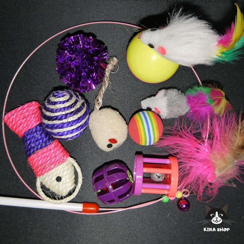 kit-gatuno-con-10-juguetitos-a-15